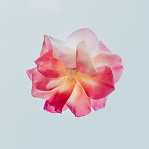 Мама-мамуля