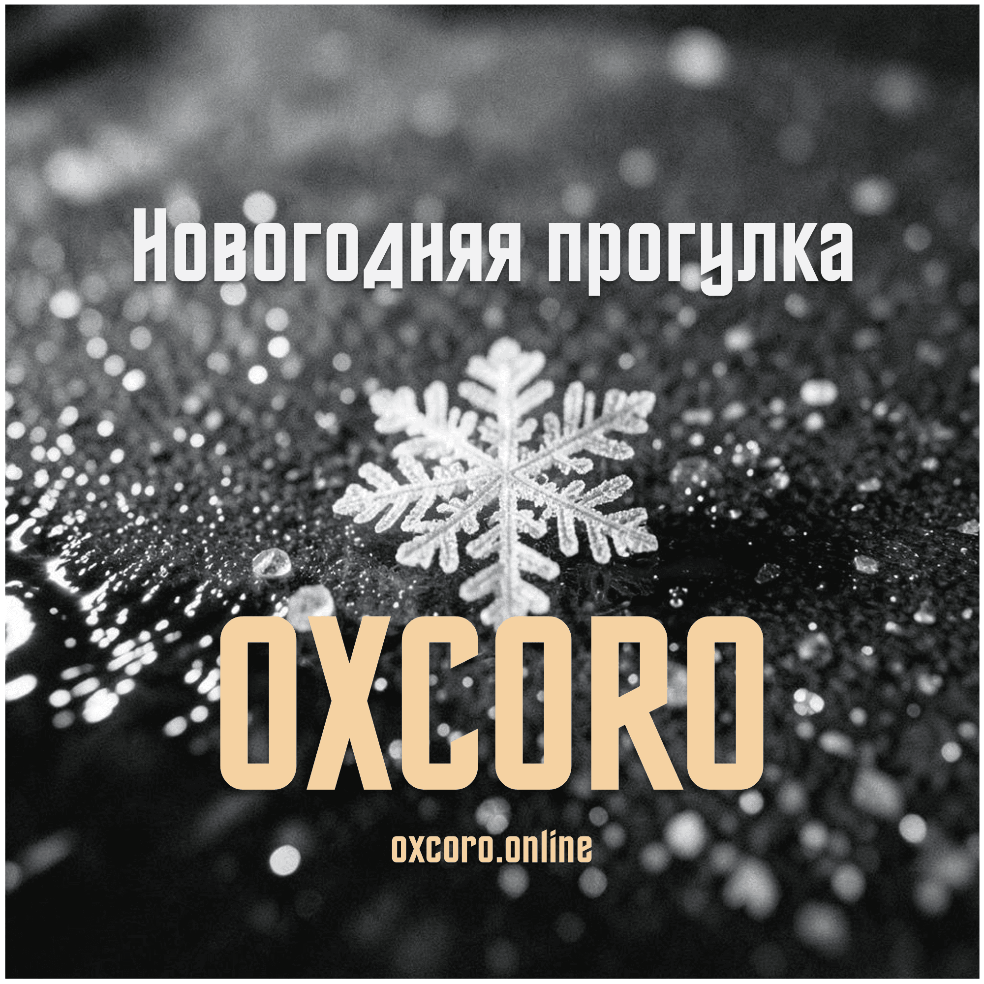 Новогодняя прогулка